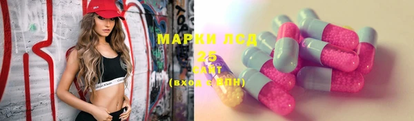 apvp Аркадак