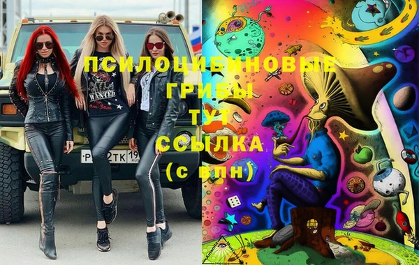 мяу мяу мука Армянск