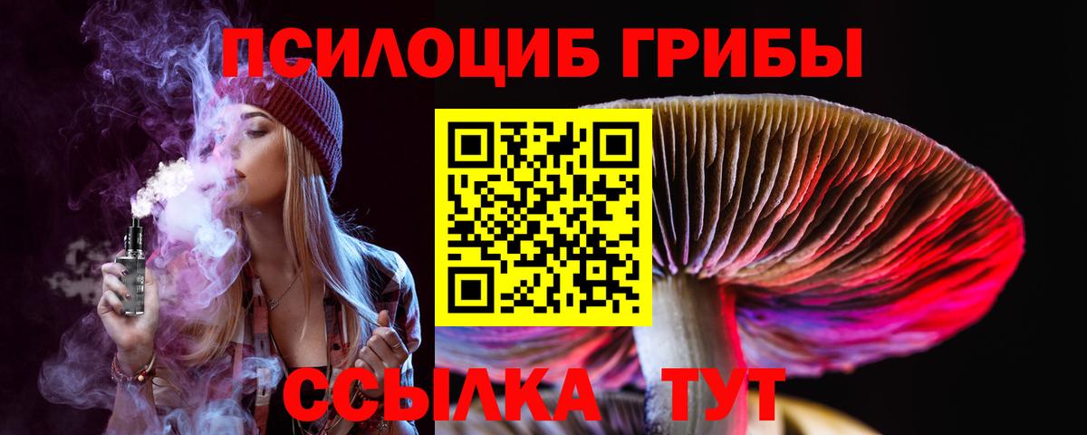 Междуреченск  Псилоцибиновые грибы мухоморы  Вход с VPN 